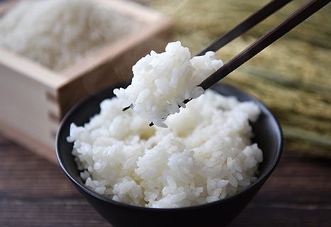 白ご飯